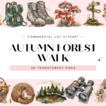 Autumn Forest Walk
