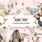 Artic Animals