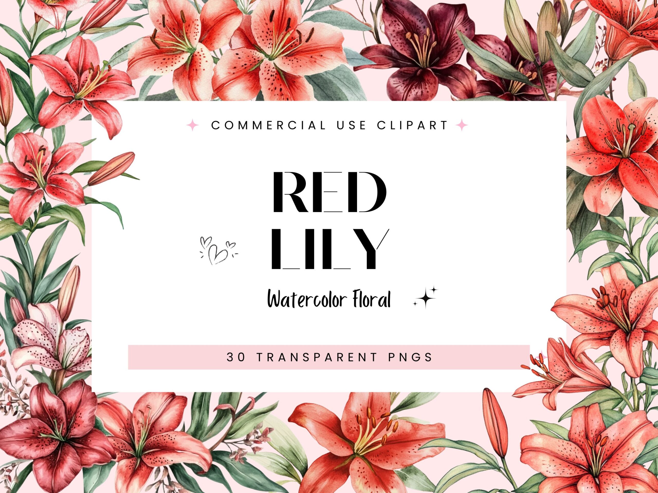 Red Lily