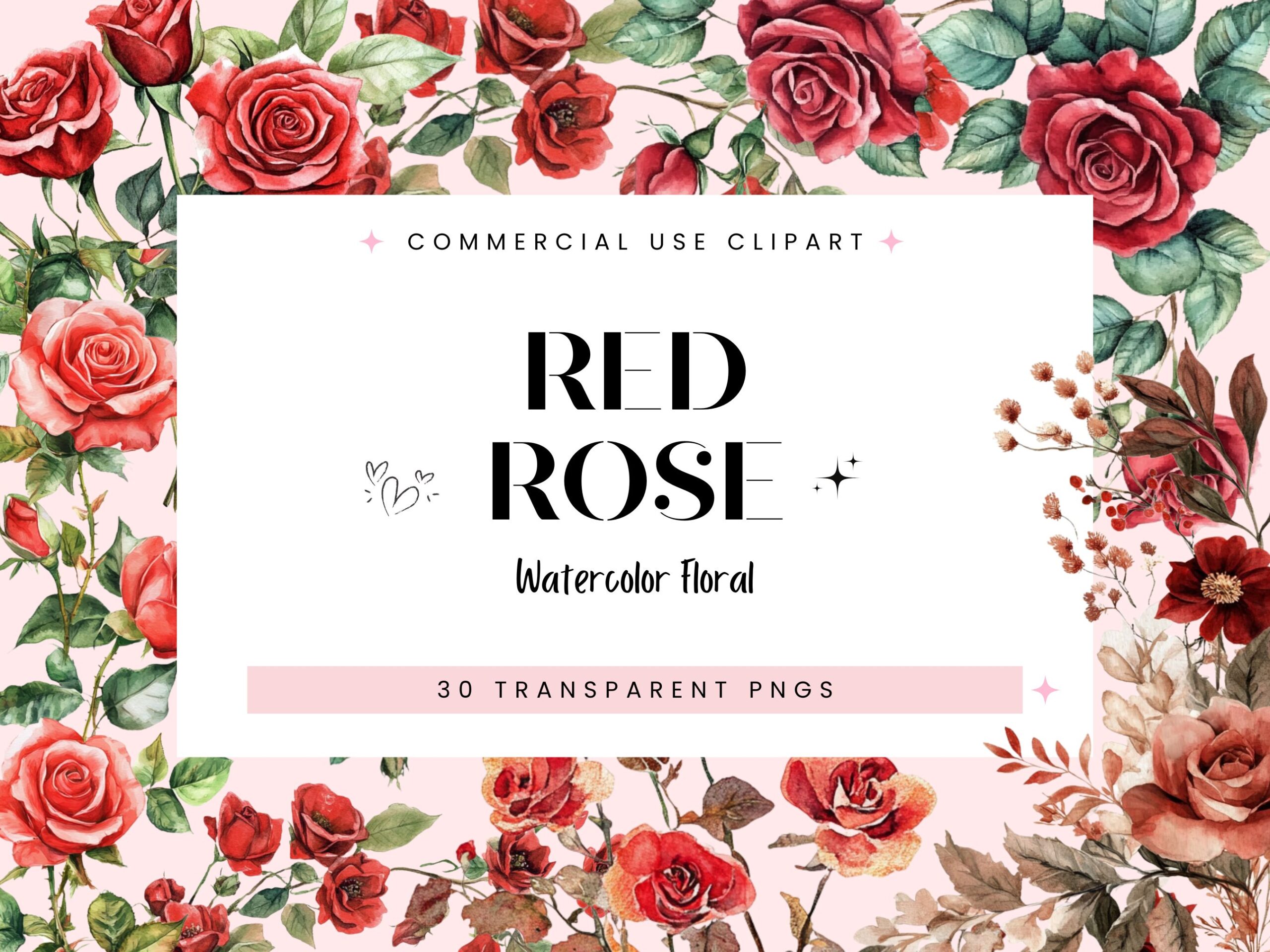 Red Rose